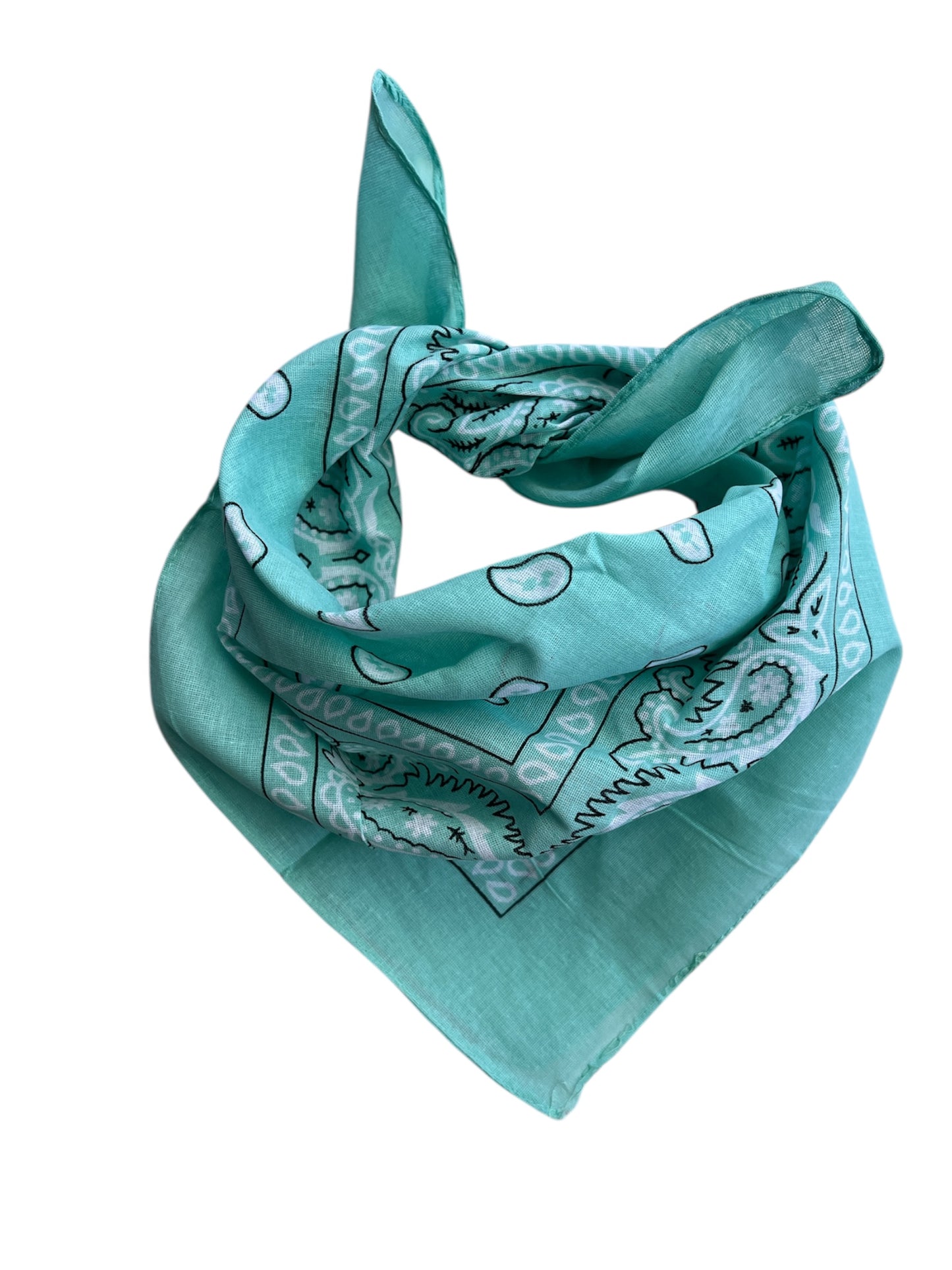 Pañuelo Bandana