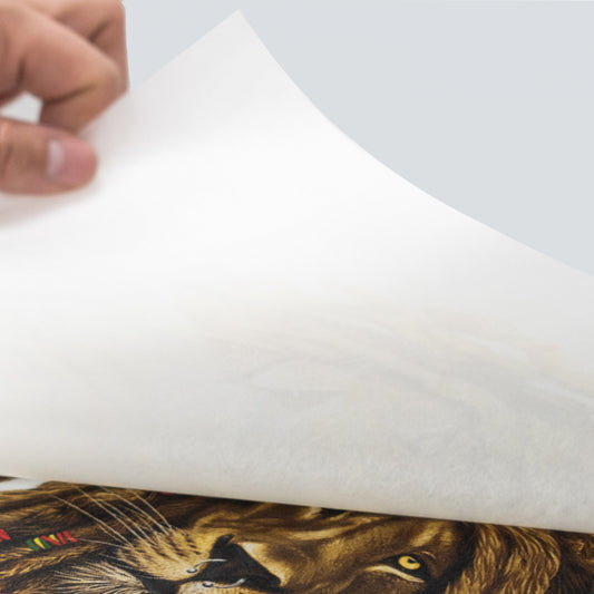 PAPEL PROTECTOR SILICONADO / 2 HOJAS TAMAÑO CARTA